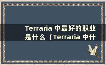 Terraria 中最好的职业是什么（Terraria 中什么职业比较好）